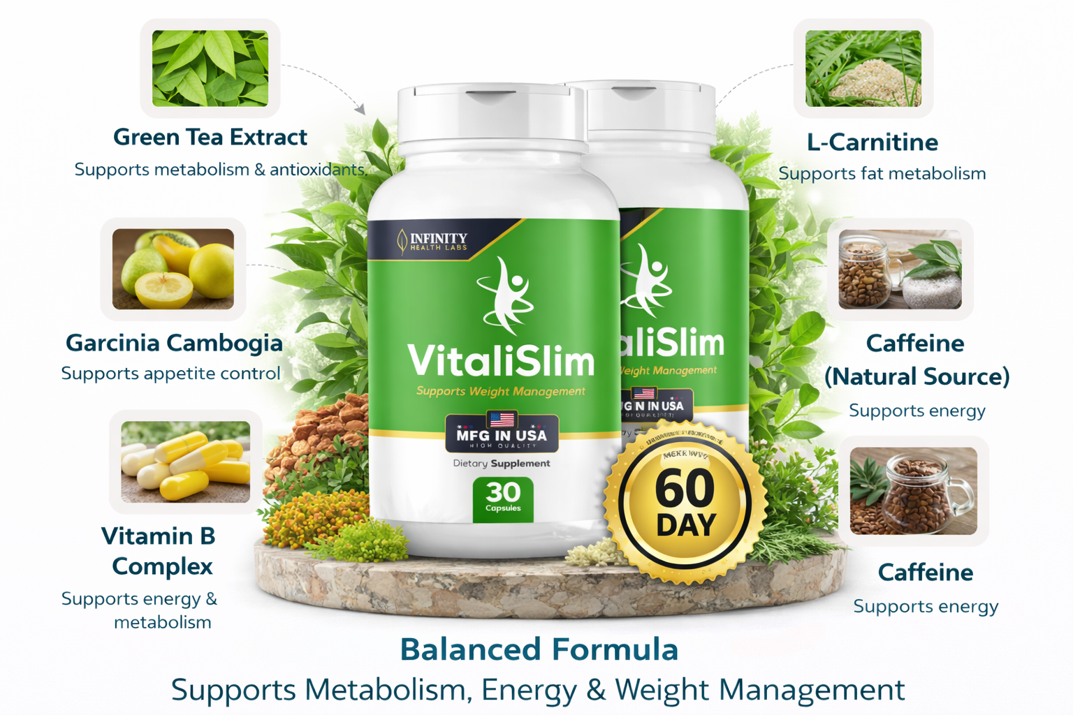 VitaliSlim Ingredients